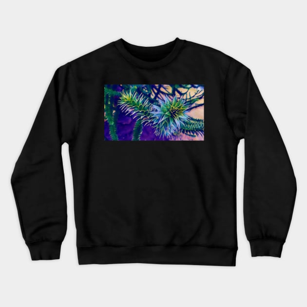 Monkey Puzzle Tree - Blue Crewneck Sweatshirt by Rebekah Slick